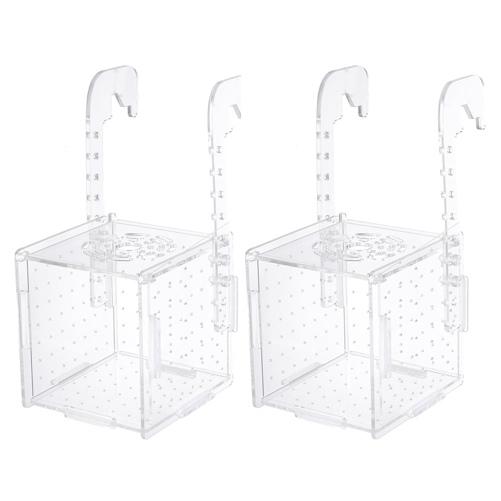 Box Fish Tank Shrimp Aquarium Hatching Breeder Breeding Boxes Fishes
