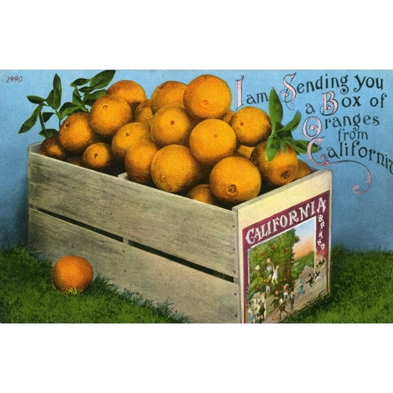 Box Of Oranges From California Poster Print By Mary Evans Grenville Collins Postcard Collection