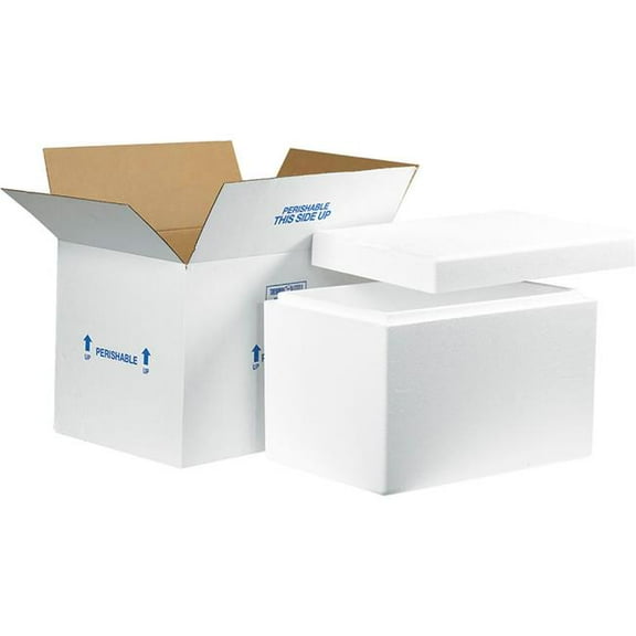 Box Packaging B39910 19 x 12 x 12.5 in. Foam Insulated Shipping Kit, White