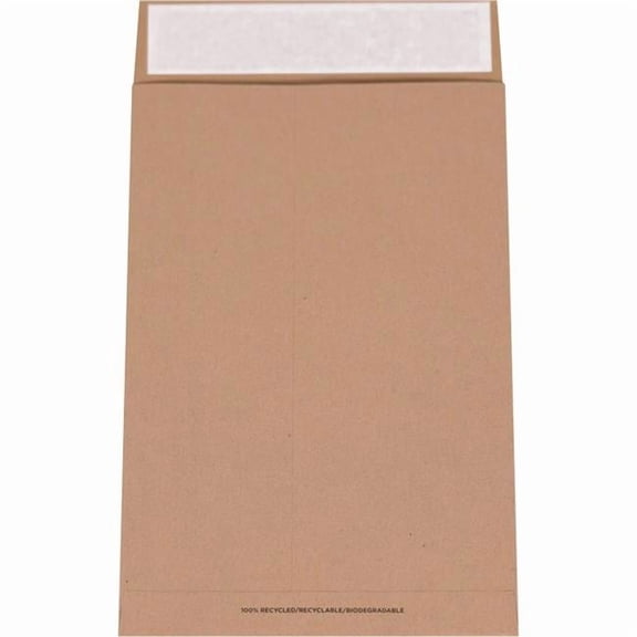 Box Packaging B3203426 Flat Mailer, 10.5 x 16 in. Kraft - Brown - Pack of 250