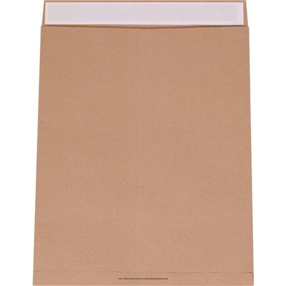 Box Packaging B3203416 Jumbo Mailer, 19 x 24 in. Kraft - Brown - Pack of 100