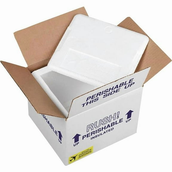 Box Packaging B3203382 Overnight Insulated Shipper, 0.75 in. Foam Wall, 10.5 x 10.5 x 8 in. - White