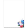 thumbnail image 1 of Box Stat Hydrangeas (Other), 1 of 1