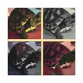thumbnail image 1 of Box Turtle Boxometry - Canvas, 1 of 10