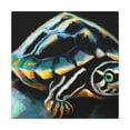 thumbnail image 1 of "Box Turtle Reflection" - Canvas, 1 of 25