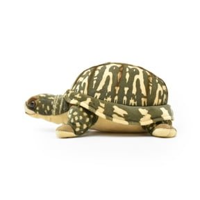 Box Turtle, Tortoise, Turtle, Stuffed Reptile, Educational, Plush Realistic Figure, Lifelike Model, Replica, Gift, 12" F4001 BB53