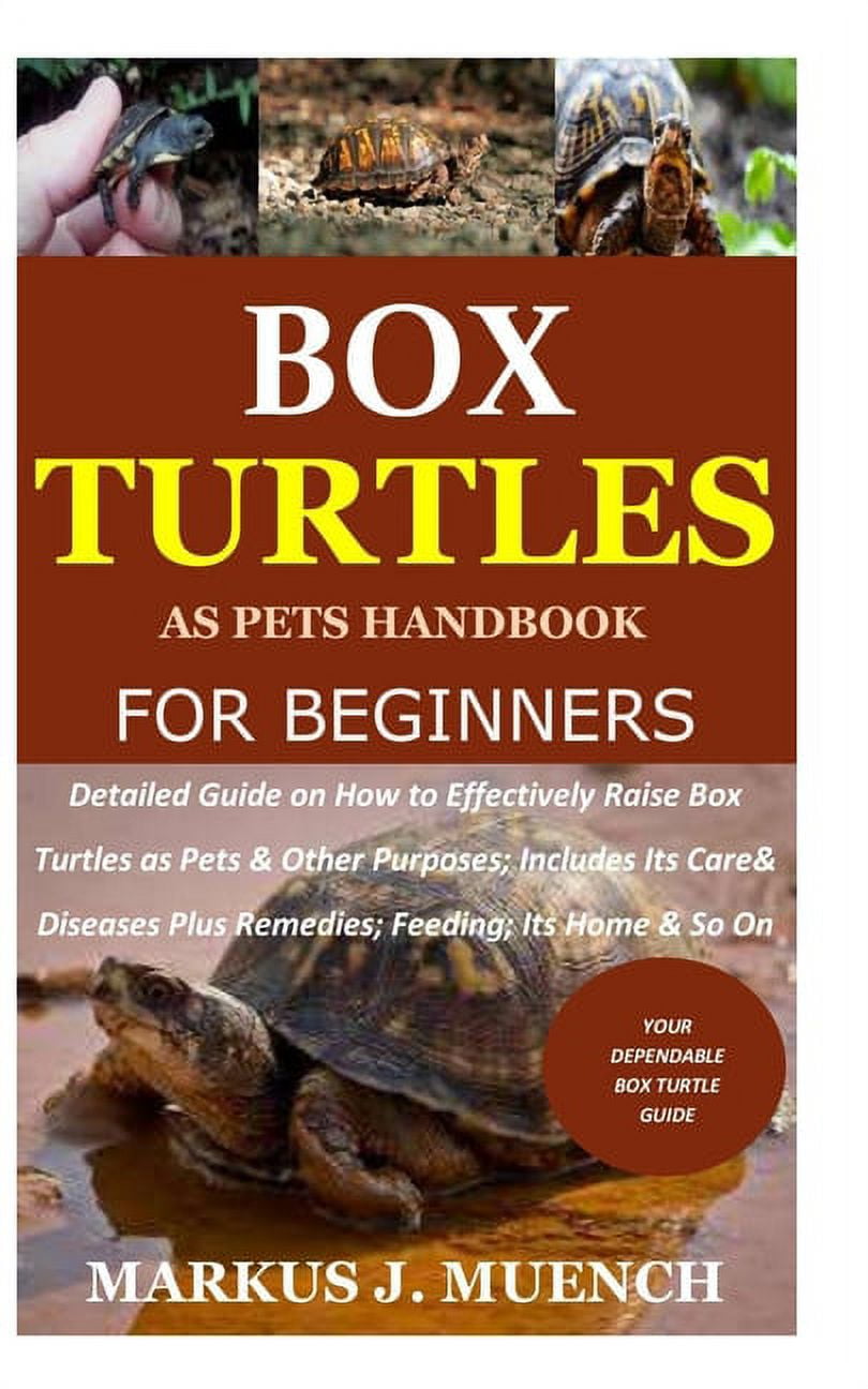 Box Turtles as Pets Handbook for Beginners Detailed Guide on How to Effectively Raise Box