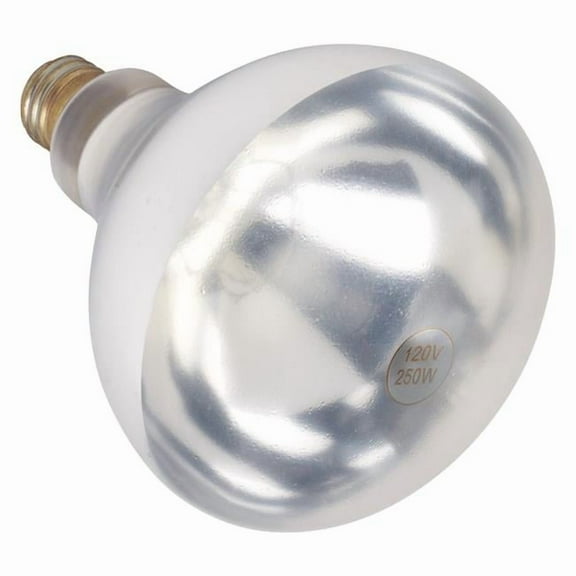 Winco EHL-BW Shatter-Resistant Bulb for EHL-2, 250W, Clear