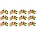 thumbnail image 1 of Box of 12 Guyana & US Crossed Flag Lapel Pins, Country & American Double Friendship Tie & Hat Pin Badges, 1 of 1