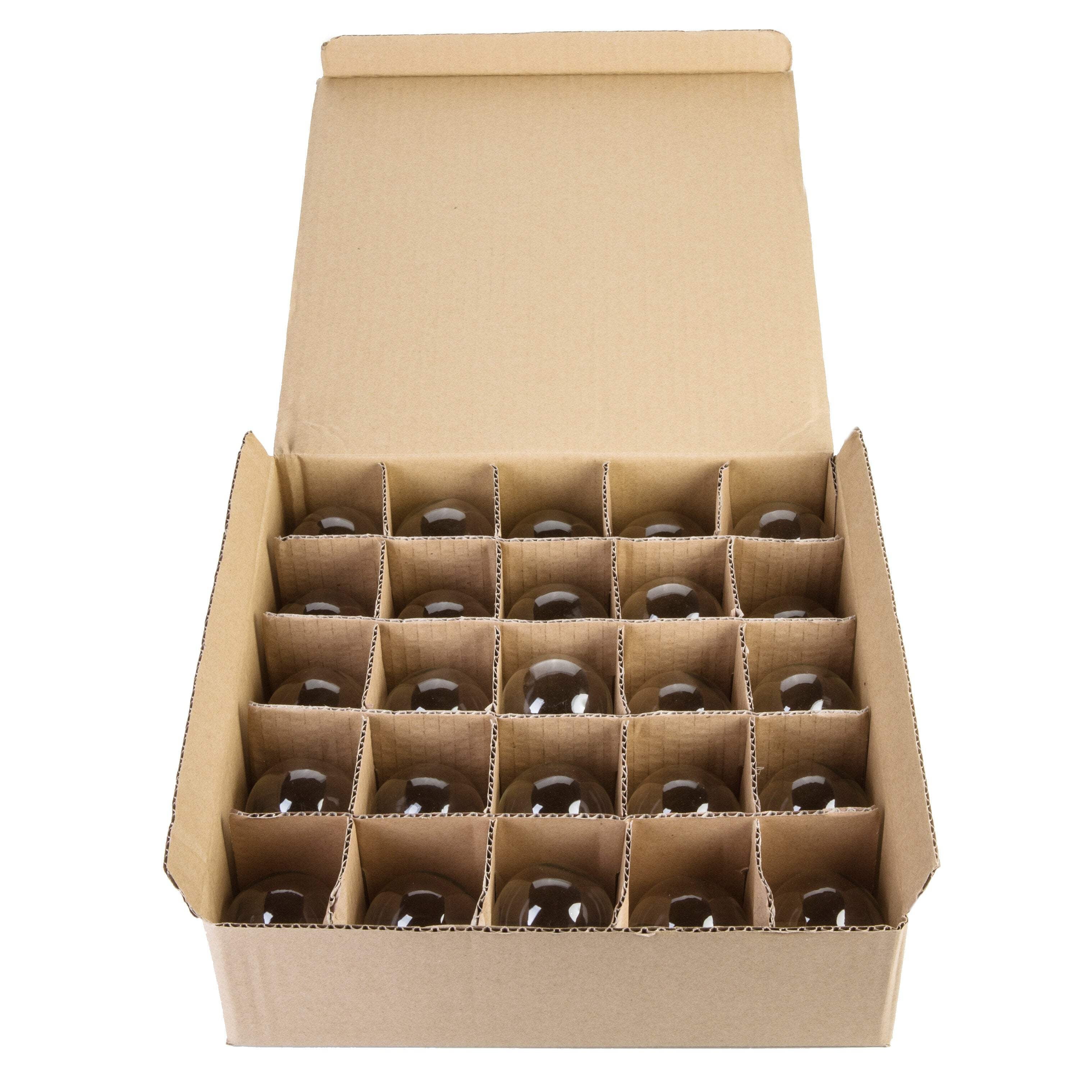 Evolution Home G40 LED Bulbs