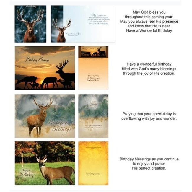 Boxed - Card Shared Blessings-Birthday Wildlife - Box of 12