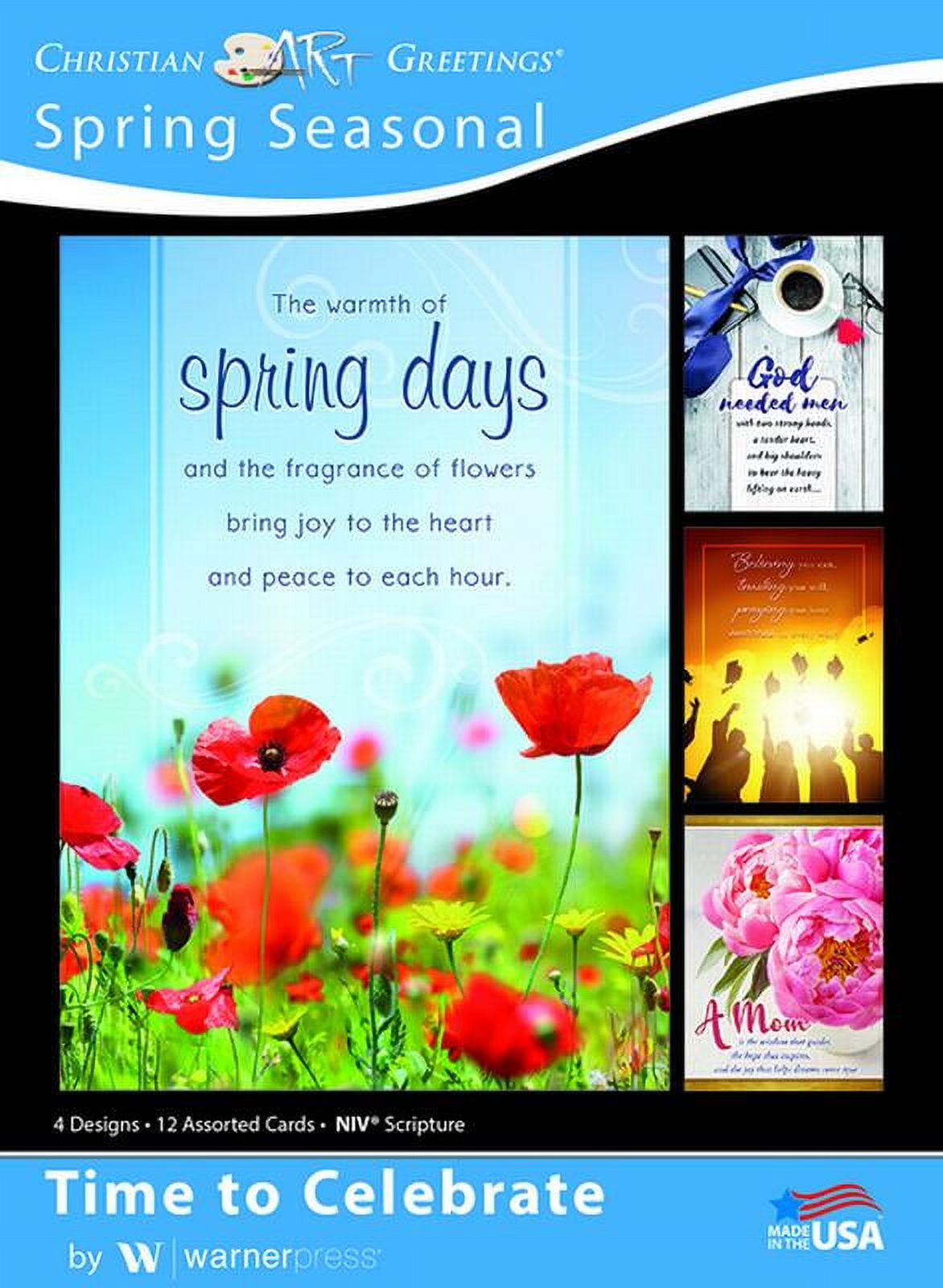 Boxed Cards - Spring - Asst - Time to Celebrate (Other)