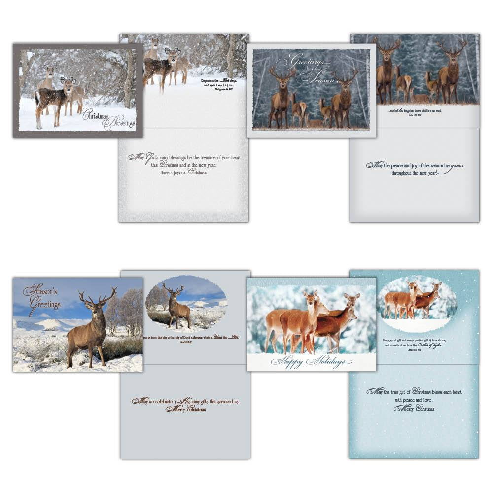 Lang Merry And Bright Blessing Boxed Cards In Multi