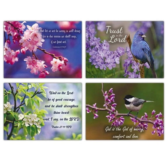 Springtime Card Boxed-Encouragement-Springtime Card - Box of 12 - Walmart.com