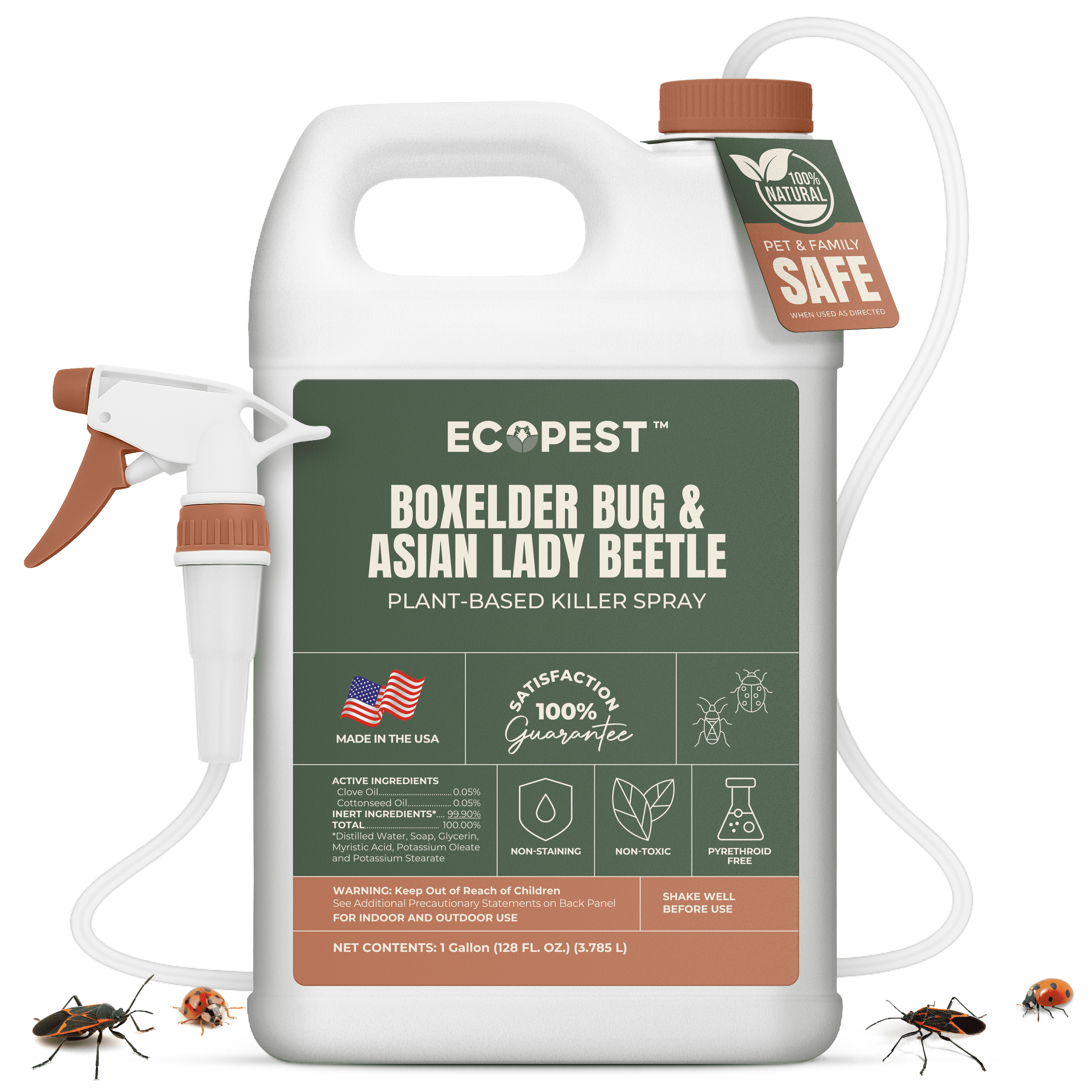 Boxelder Bug & Asian Lady Beetle Spray – Natural, Plant-Based Indoor & Outdoor Killer | Non-Staining, Safe for Doors, Windows, Siding & More | Child & Pet Safe, Low Odor, Eco-Friendly (1 Gallon)