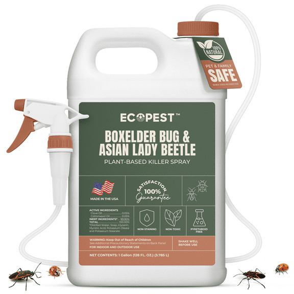 Boxelder Bug & Asian Lady Beetle Spray Natural, Plant-Based Indoor & Outdoor Killer | Non-Staining, Safe for Doors, Windows, Siding & More | Child & Pet Safe, Low Odor, Eco-Friendly (1 Gallon)