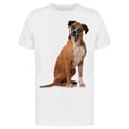 thumbnail image 1 of Boxer At Side Looking At Front T-Shirt Men -Image by Shutterstock, Male 3X-Large, 1 of 2