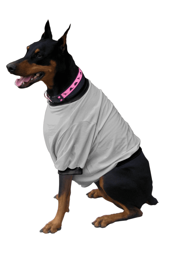 Boxer / Doberman Shorty T-Shirt - Fits 56 to 110 Pound Dog - Available in 6 Colors!
