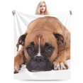 Boxer Dog 1 Warm Flannel Fleece Plush Blanket Soft Sofa Throw Blanket
