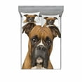 thumbnail image 1 of Boxer Dog Fitted Sheet & Pillow Sham Set, Front View 2 Years Old Purebred Boxer Dog Animal Photo, Decorative Printed 3 Piece Bedding Decor Set, Full, Pale Brown, by Ambesonne, 1 of 2