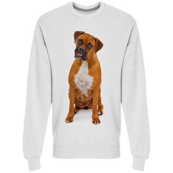Boxer Dog Is Wating For Photo Sweatshirt Men -Image by Shutterstock, Male Medium