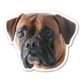 thumbnail image 1 of Boxer Dog Magnet, 1 of 1