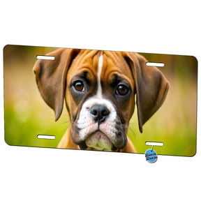 Boxer Dog Puppy Photo Metal Novelty License Plate