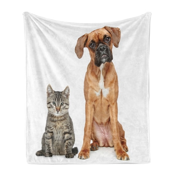 Boxer Dog Soft Flannel Fleece Blanket, Photo of a Cat and Dog Sitting Together Animal Friendship Theme Pet Lover Concept, Cozy Plush for Indoor and Outdoor Use, 50" x 70", Multicolor, by Ambesonne