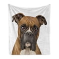 thumbnail image 1 of Boxer Dog Soft Flannel Fleece Throw Blanket, Front View 2 Years Old Purebred Boxer Dog Animal Photo, Cozy Plush for Indoor and Outdoor Use, 50" x 60", Pale Brown Dark Brown, by Ambesonne, 1 of 6