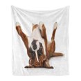 thumbnail image 1 of Boxer Dog Soft Flannel Fleece Throw Blanket, Funny Playful Puppy Lying on His Back Resting His Paws, Cozy Plush for Indoor and Outdoor Use, 60" x 80", Pale Caramel Dark Brown, by Ambesonne, 1 of 5