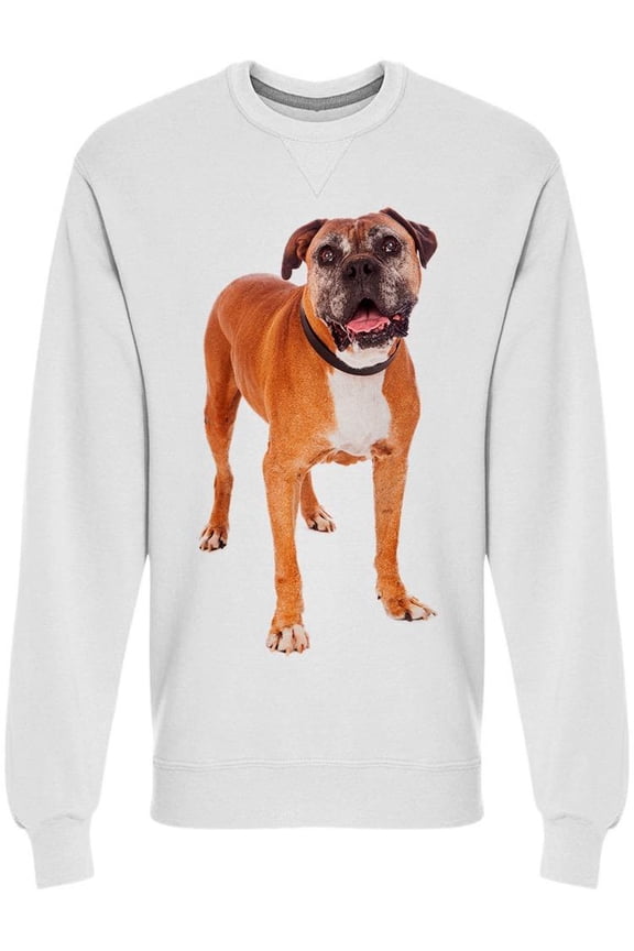 Boxer Dog Stands And Looks Sweatshirt Men -Image by Shutterstock, Male Small