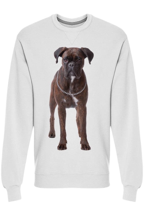 Boxer Dog W/chain Sweatshirt Men -Image by Shutterstock, Male Small