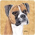 thumbnail image 1 of Boxer Foam Coasters - Set Of 4, 3.5 x 3.5 In., 1 of 1