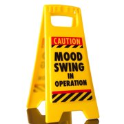 Boxer Gifts Mood Swing Warning Funny Desk Sign - Gag Gifts For Women