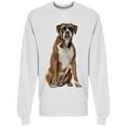 thumbnail image 1 of Boxer Is Sitted  Sweatshirt Men -Image by Shutterstock, Male 3X-Large, 1 of 2