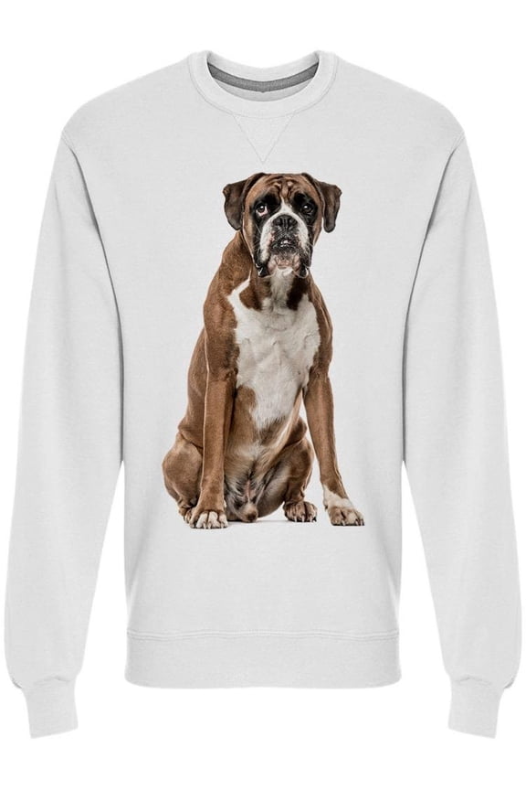 Boxer Is Sitted Sweatshirt Men -Image by Shutterstock, Male XX-Large