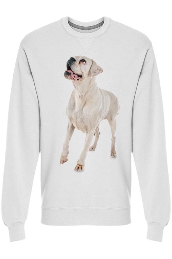 Boxer Looking At Ceiling Sweatshirt Men -Image by Shutterstock, Male x-Large