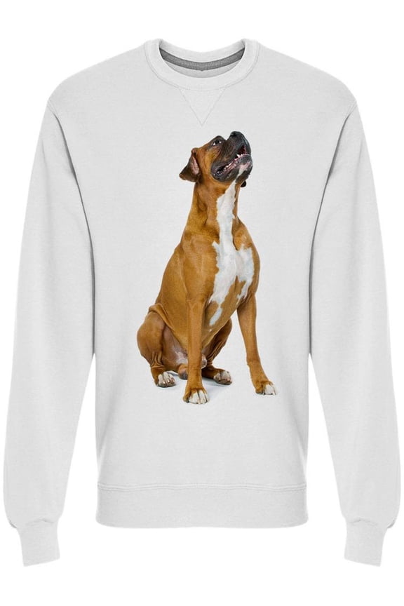 Boxer Looking At The Ceiling Sweatshirt Men -Image by Shutterstock, Male 3X-Large