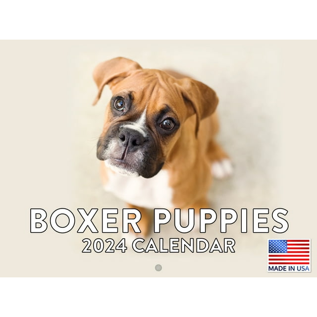 Boxer Puppy Cute Dog 2024 Wall Calendar