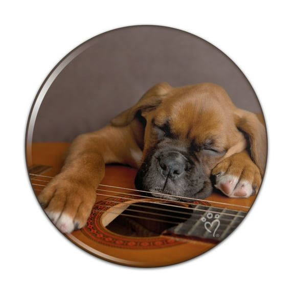 Boxer Puppy Dog Sleeping on Guitar Pinback Button Pin