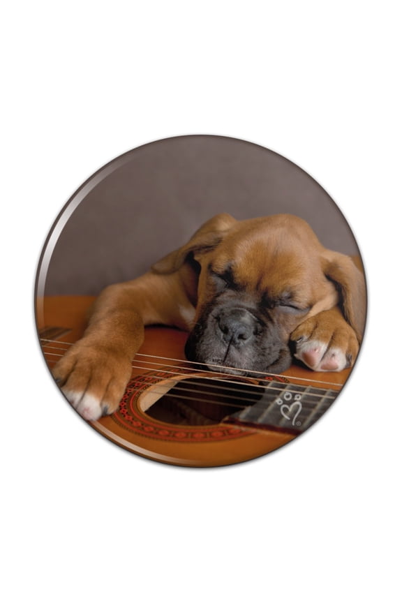 Boxer Puppy Dog Sleeping on Guitar Pinback Button Pin