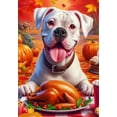 thumbnail image 1 of Boxer White Uncropped - Best of Breed DCR Thanksgiving House Flag 28" x 40", 1 of 1