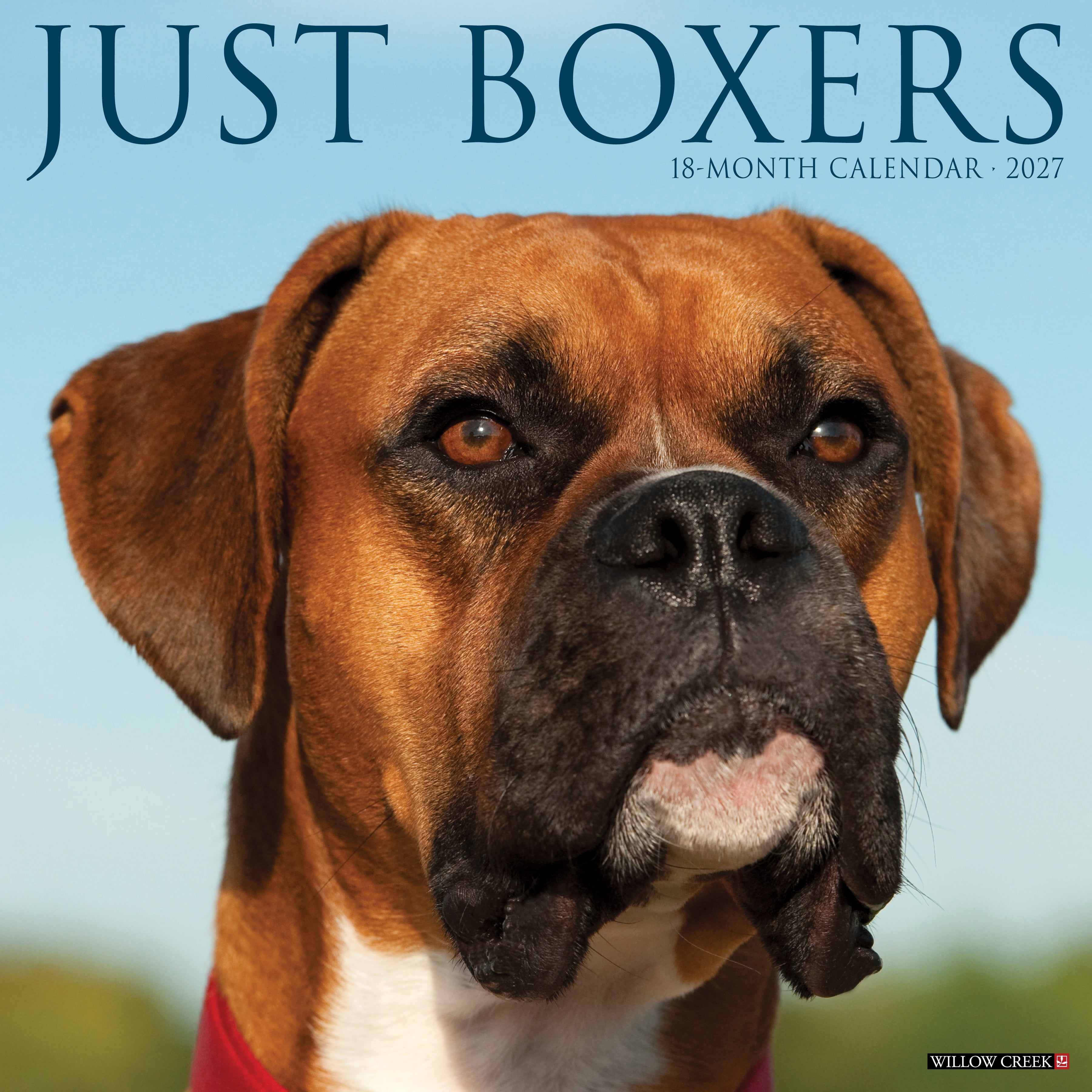 Willow Creek Press, Boxers 2027 Wall Calendar