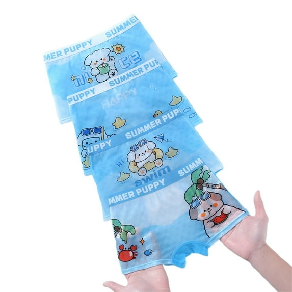 Boxers Boys Underwear Ice Silk Quick Dry Soft Lightweight Comfortable Breathable Briefs Boy Underwear Sky Blue5 3 Years-5 Years