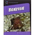 thumbnail image 1 of Pre-Owned Boxfish (21st Century Skills Library: Exploring Our Oceans), 9781631880179, 1631880179, Paperback, Illustrated edition, 1 of 1