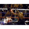 thumbnail image 1 of Boxing match between Mike Tyson and Lennox Lewis Photo Print  (30 x 24), 1 of 1