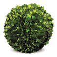 thumbnail image 1 of Boxwood Ball 8" - Green, 1 of 3