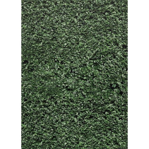 Boxwood Bulletin Board Roll Better Than Paper- 4 Count