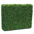 thumbnail image 1 of Boxwood Hedge - TT Green - 36 x 12 x 30 in., 1 of 1