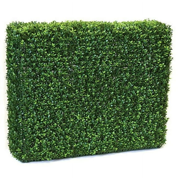 Boxwood Hedge - TT Green - 36 x 12 x 30 in.